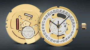 Các loại máy đồng hồ phổ biến: Từ cơ khí tinh xảo đến quartz hiện đại