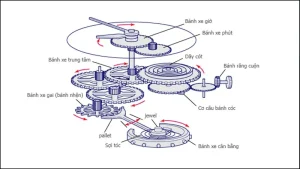 Đồng hồ automatic hoạt động như thế nào? Khám phá cơ chế tự động lên dây cót